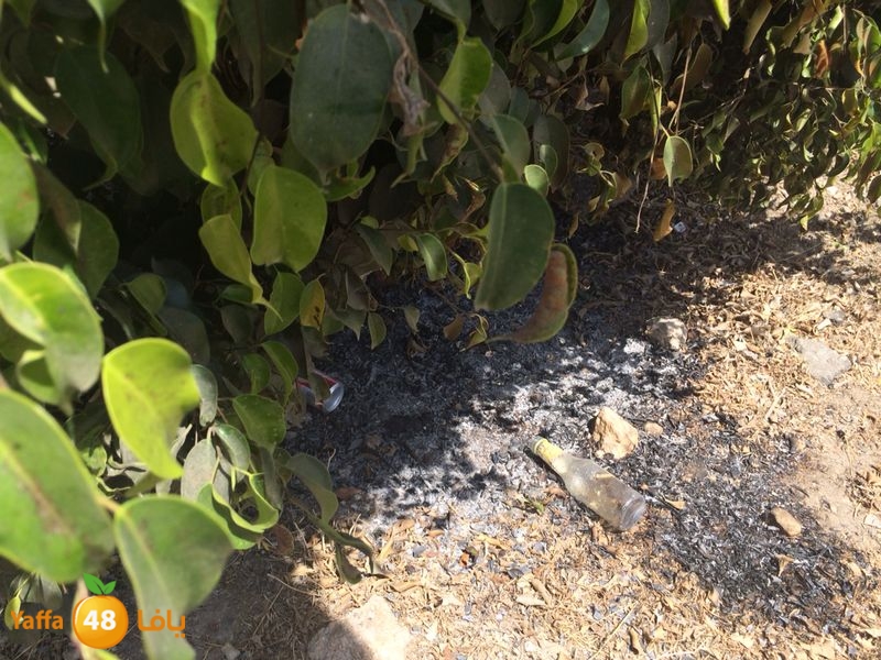 kenan 7ashouna 0503 (16).JPG